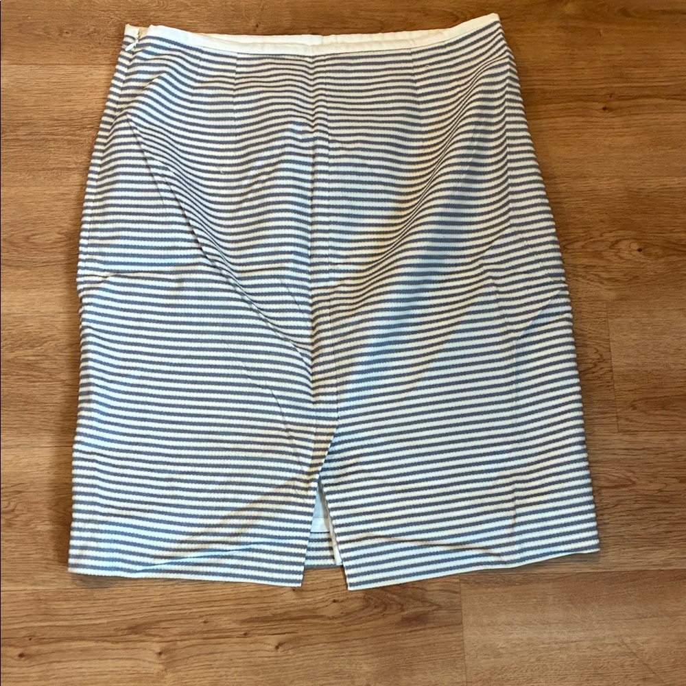 The Limited Striped Skirt in Blue and White - Picture 4 of 4